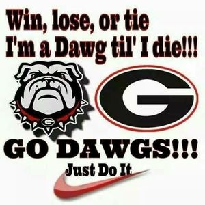 Meet your Posher, Ginger